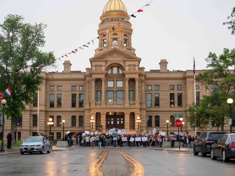 A group of protesters in front of the capitol building on a cloudy day