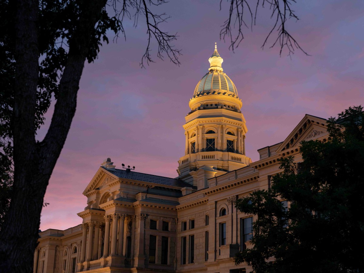 RINOs vs. right wingers: GOP insiders define Wyoming’s factions