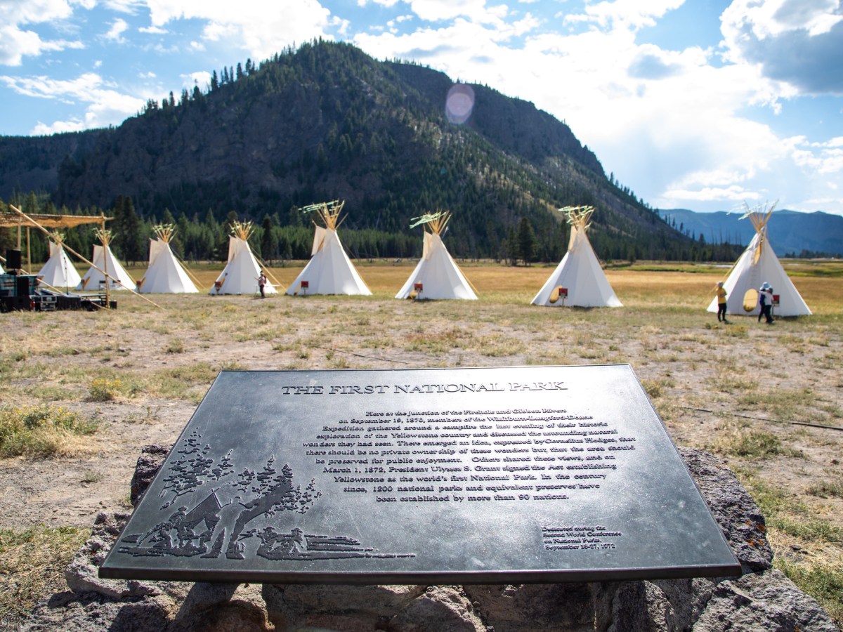 Movement to ‘re-Indigenize’ Yellowstone gains steam