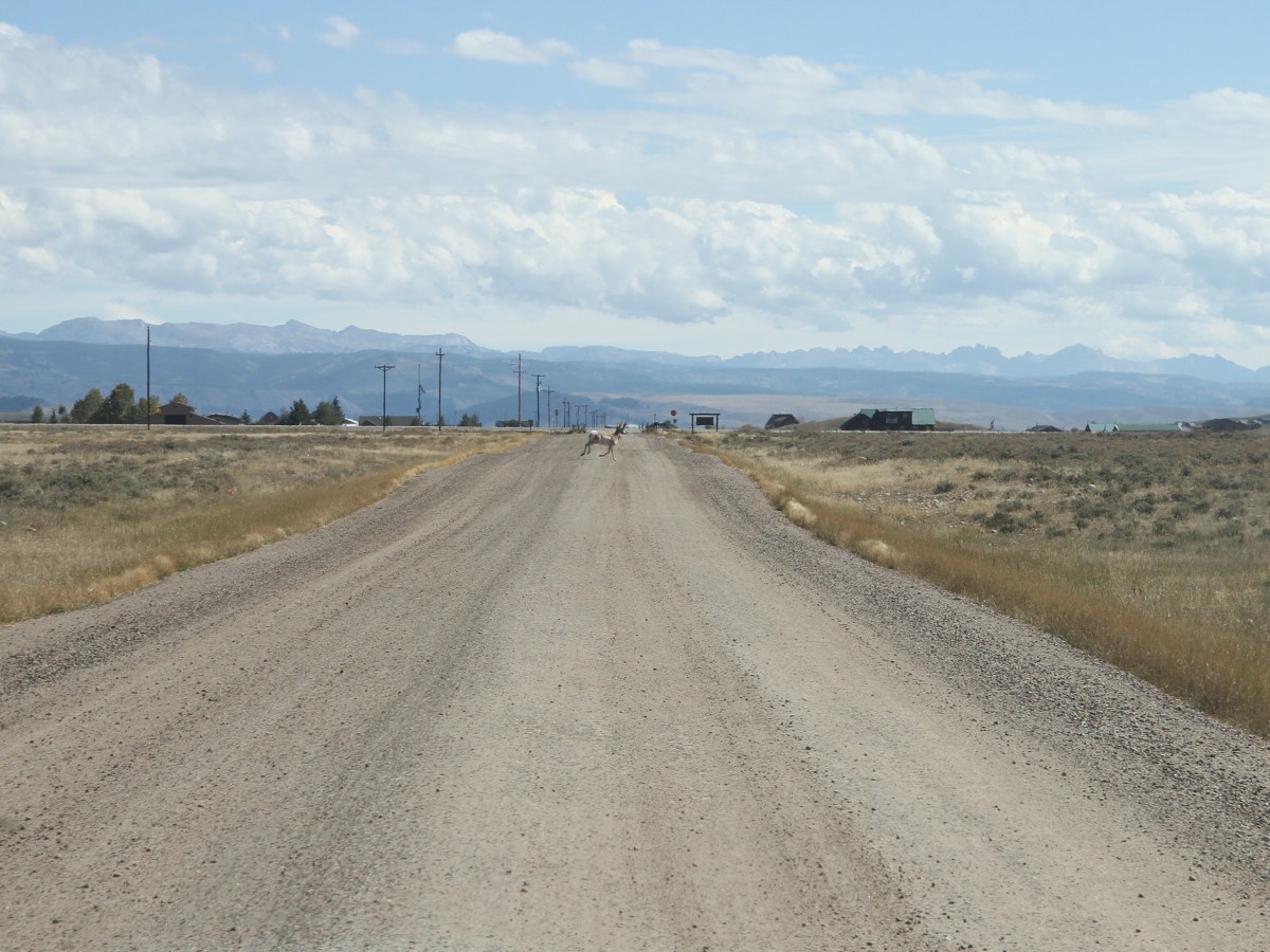 Development, wildlife collide along iconic Wyo migration paths