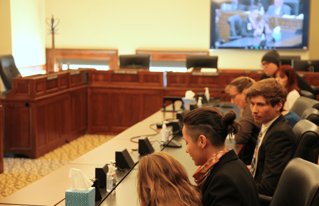 a group of people sit at a desk facing the House Appropriations Committee members
