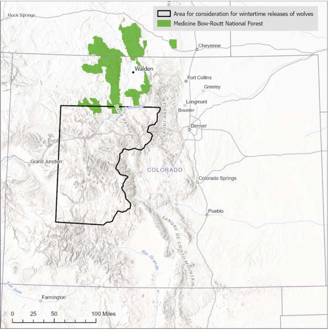 Lawsuit seeks relief for Colorado wolves gunned down at Wyoming border