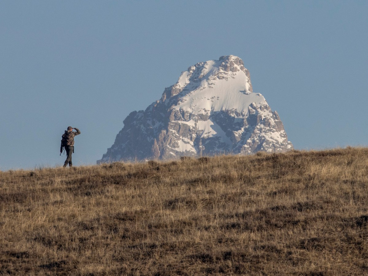 Wildlife and public lands in Cheyenne: ‘Pleasant’ surprises, little ‘defense’ needed in 2026 legislature, advocates say