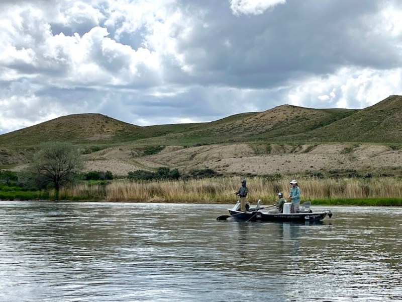 To stem trout deaths, state proposes new fishing regs for North Platte River