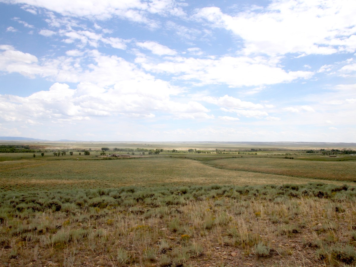 ‘Path of the Pronghorn’ bottleneck leased for development at $19/acre