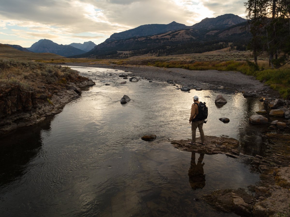 Bad actor suspected in Yellowstone brook trout discovery