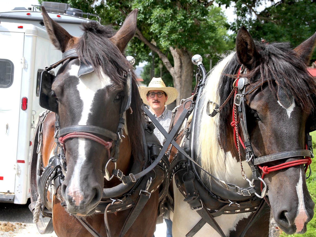 A horse-drawn POTUS hopeful is touring Wyoming. And suing Yellowstone along the way.
