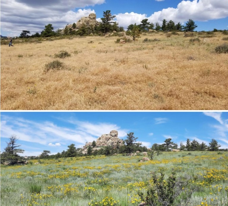 Big spending needed to halt Wyoming’s ‘losing battle’ against ...