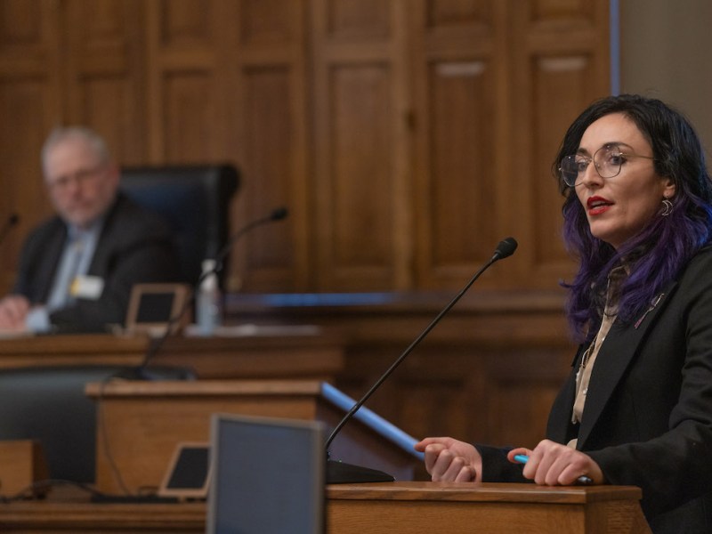 Provenza speaks into a microphone on the House floor