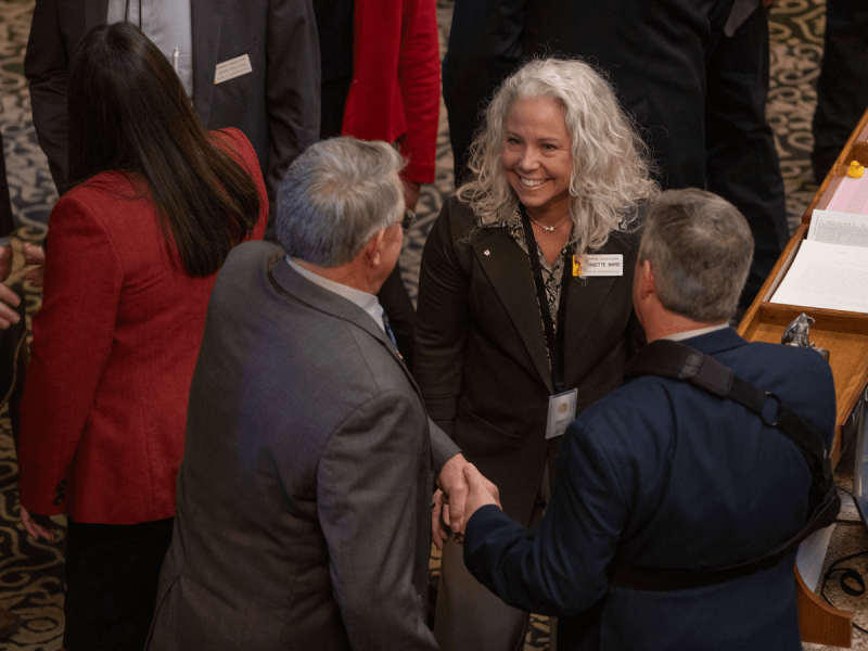 Jeanette Ward talks with two colleagues on the House floor.