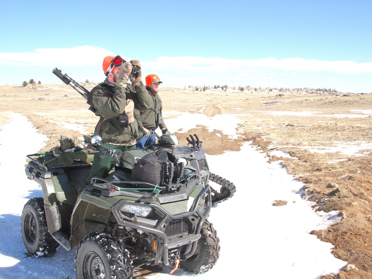 Hired guns? Unlimited tags? Wyoming levels up elk killing efforts