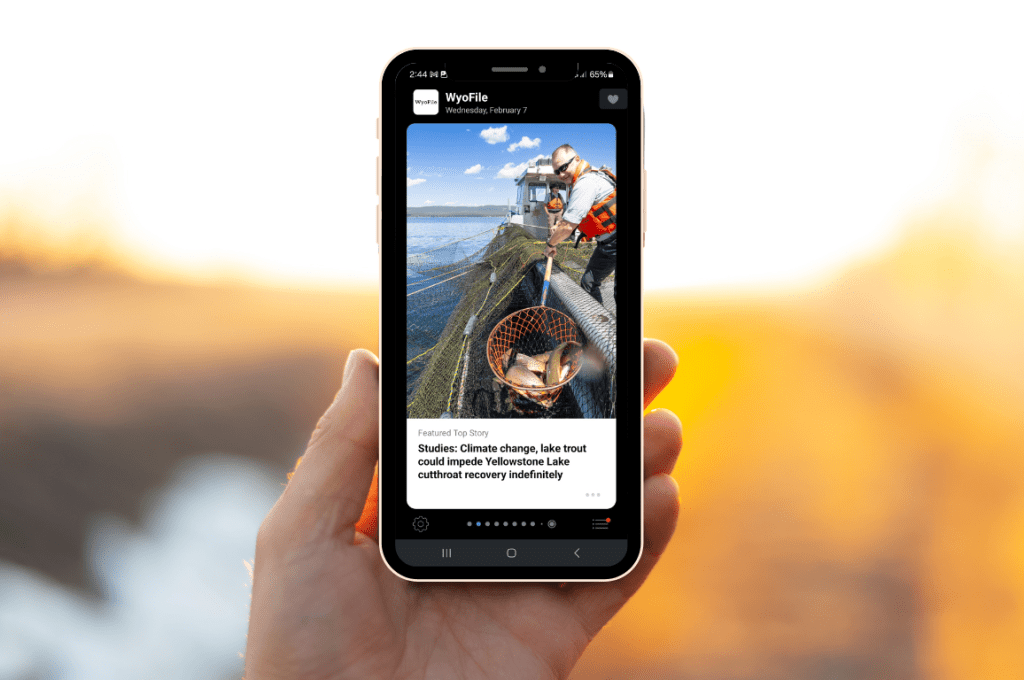 A person holding up a mobile phone, with a sunset in the background.