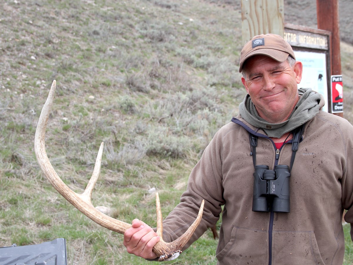 A Montana shed hunter’s (accidental) last Wyoming dance