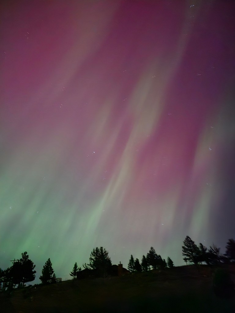 Green and pink auroras above a treeline