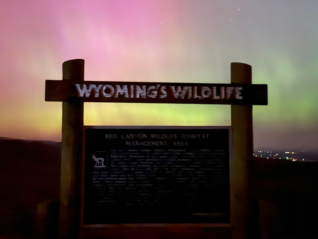 A sign that says "Wyoming's Wildlife" backlit by the northern lights