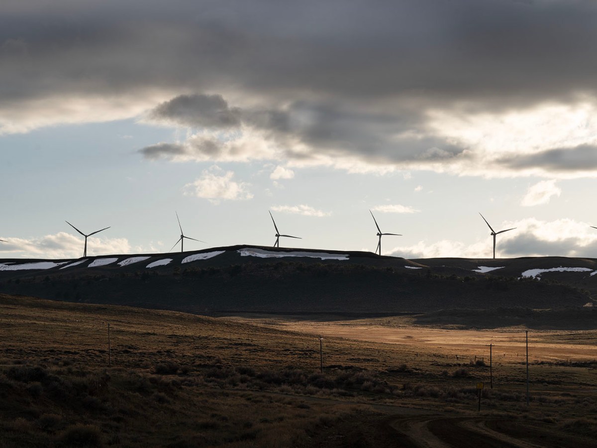 Wyoming must meet the eagle preservation standard