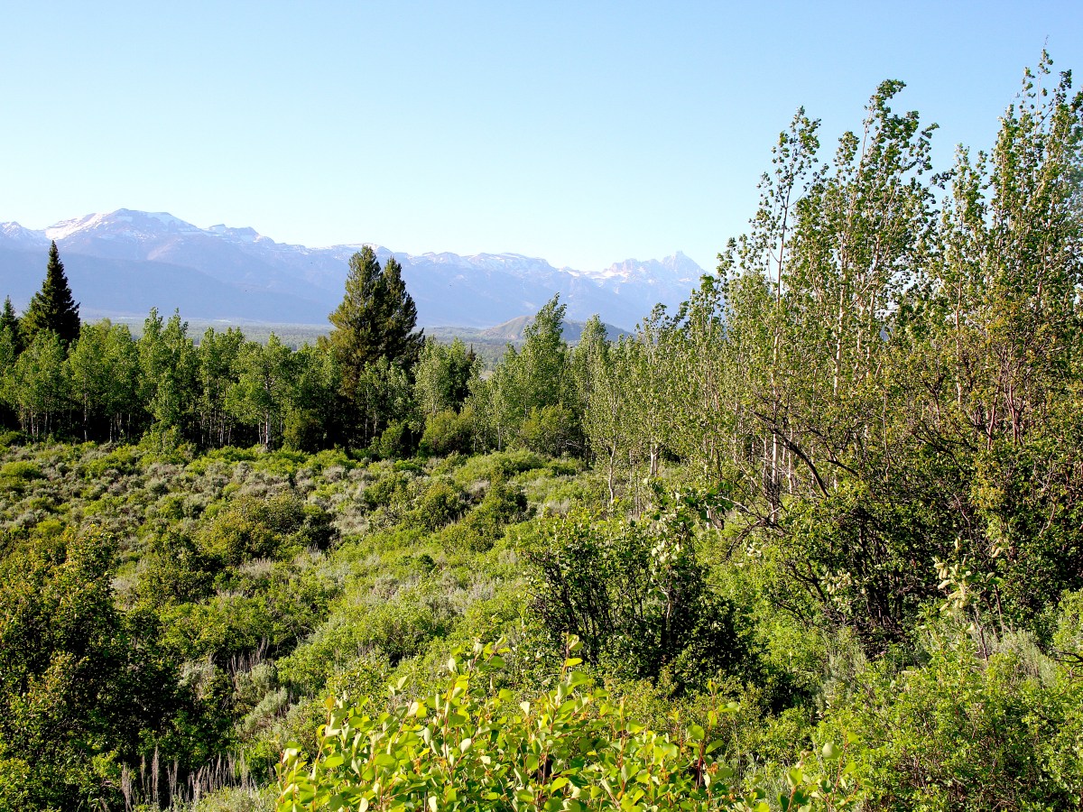 To prevent private development on state land, Teton County closes in on recreation lease