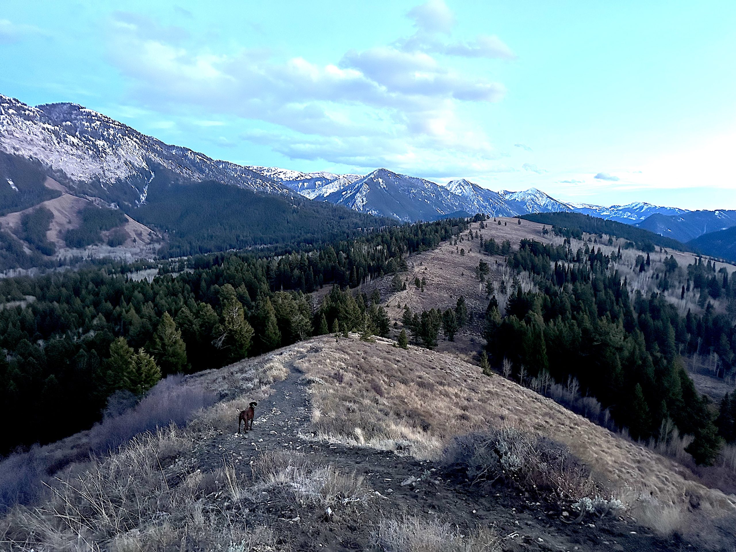 Wyoming’s Hageman aims to block future ‘roadless areas,’ despite overwhelming support to keep public land pristine
