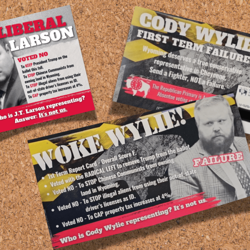 With political attack ads, crazy cashes in on lazy