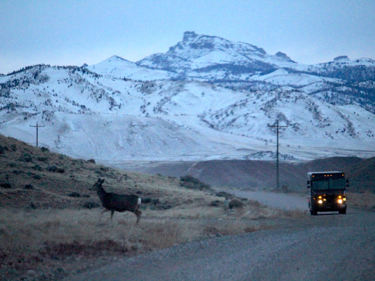 Hunting-conservation, green groups split on best protections for Wind River deer corridor