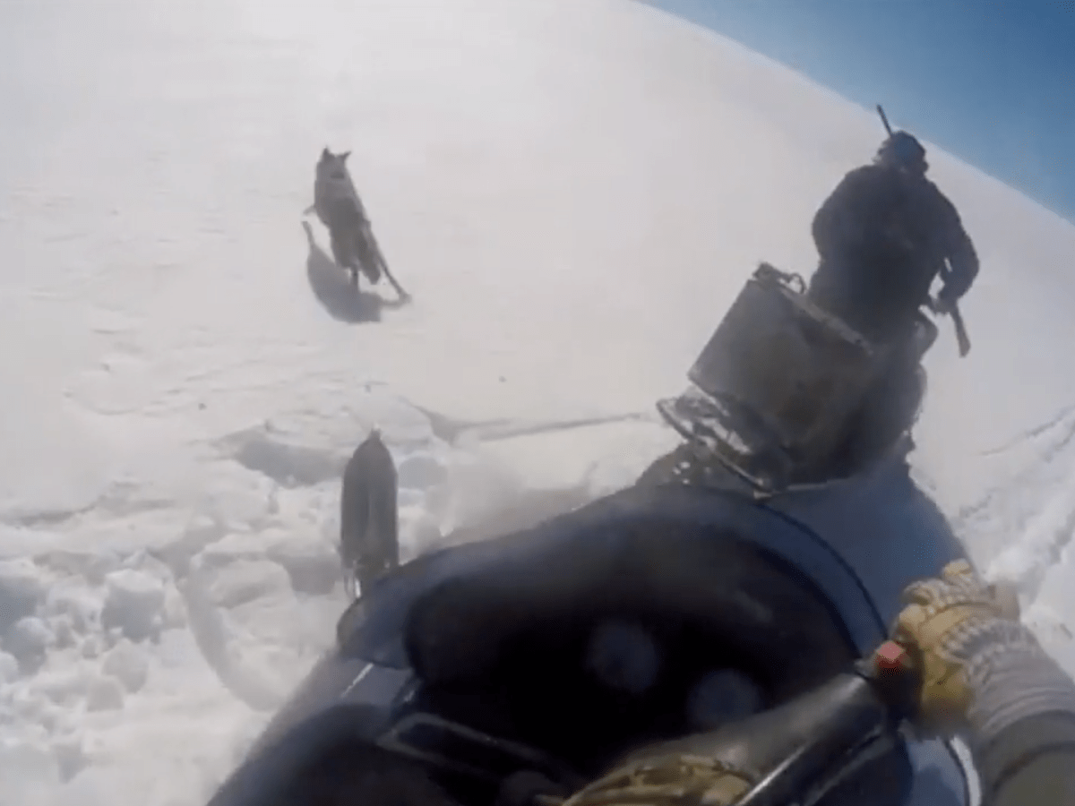 Wyoming allows snowmobilers to run down wildlife. Despite global outrage, it may stay legal.