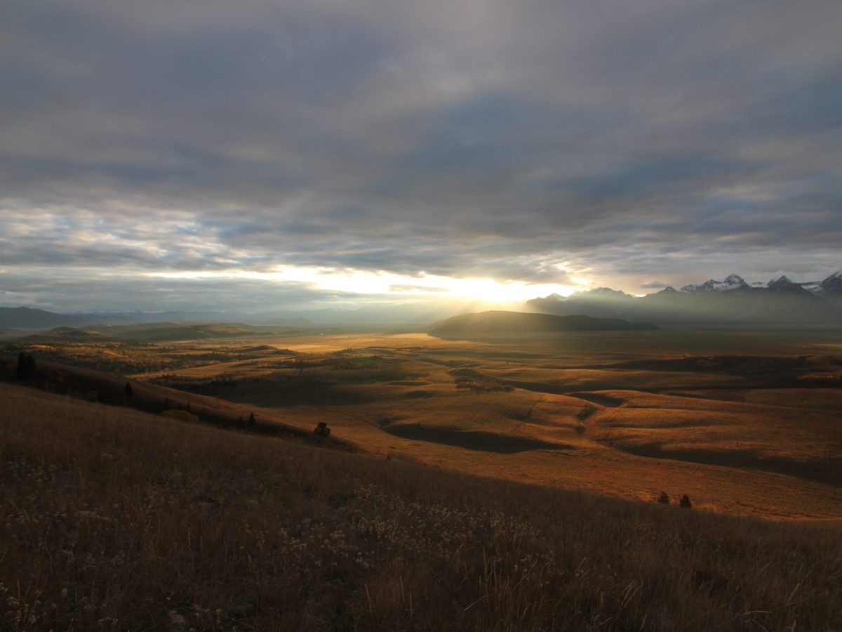 Kelly Parcel sale clears last key hurdle with Gordon’s certification