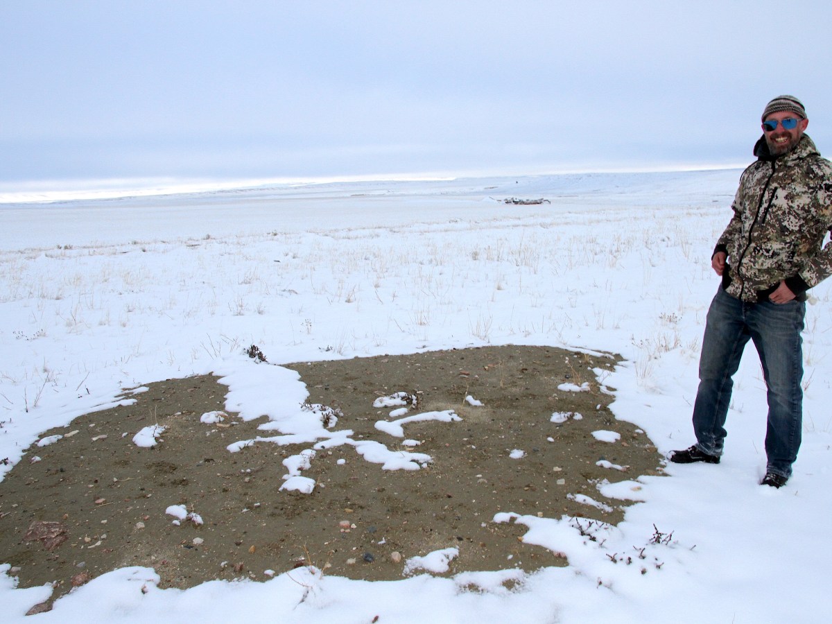 If you build it, will sage grouse come? Wyoming is about to find out.
