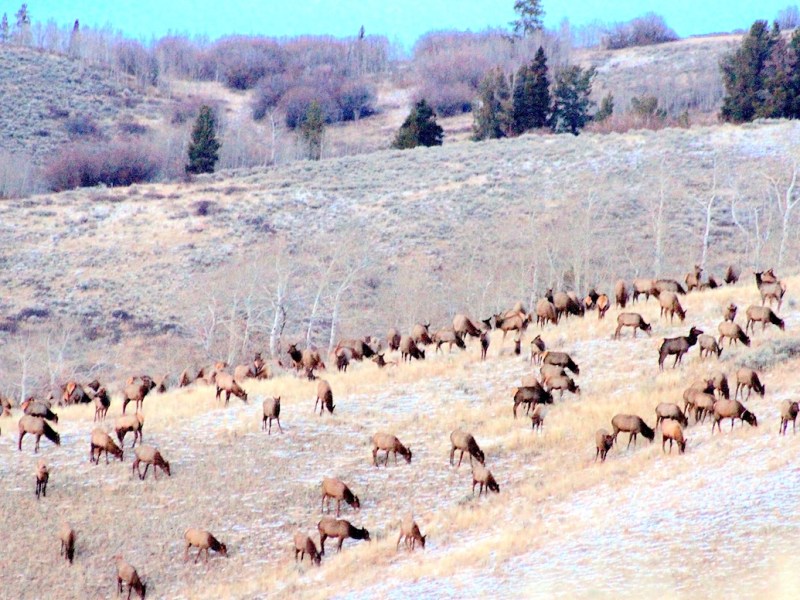 Gordon inks deal to sell Kelly Parcel to Grand Teton National Park for $100M