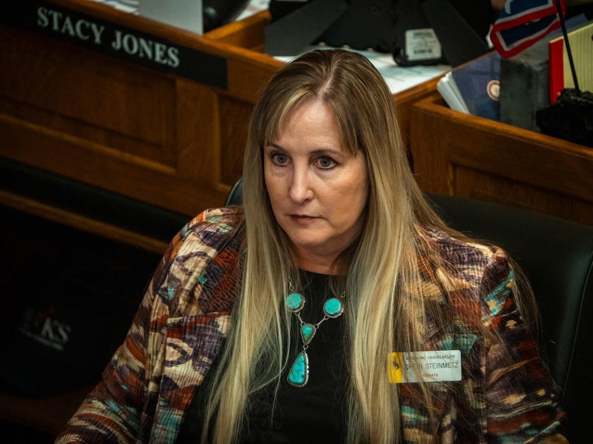 Wyoming Senate sinks immigrant crackdown bill amid questions over legality, impact