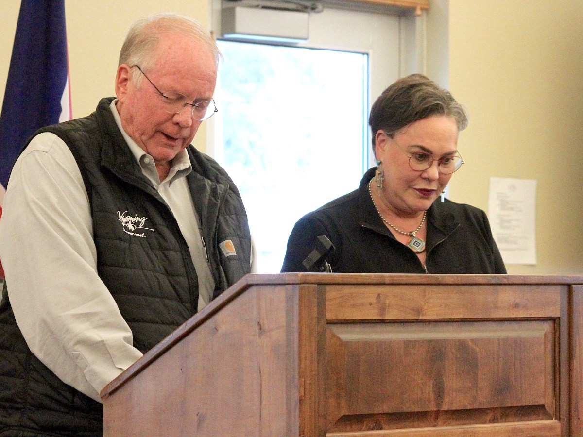 DOGE is the talk of Wyoming. What are state leaders saying and doing about the Elon Musk-led cuts?