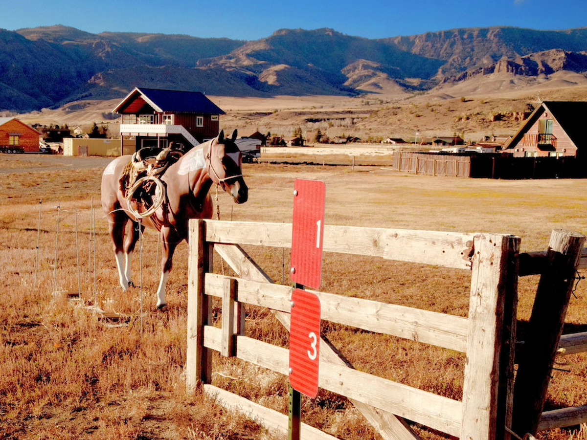 Wyoming opposition intensifies against public land sell-off