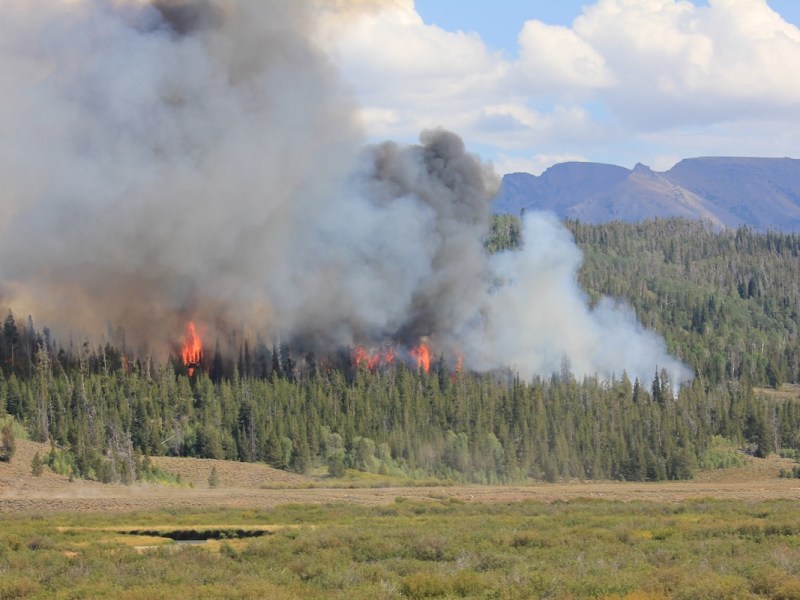 Western Wyoming fire explodes to 600 acres, closing Green River Lakes Road and prompting evacuations
