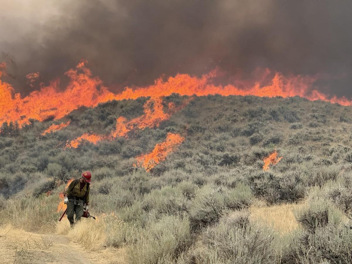 Funding for Wyoming’s first professional wildland firefighting teams clears the House