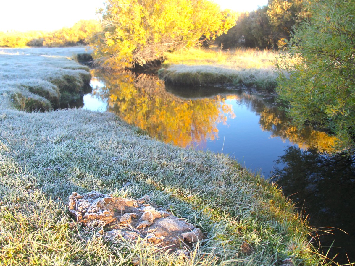 Wyoming tries again to delist remote Wind River Range stream for fecal contamination