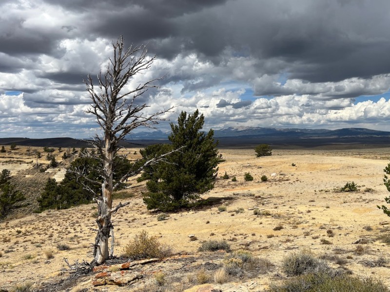Conservationists worry a Trump re-do will imperil Wyoming’s climate-stressed Red Desert