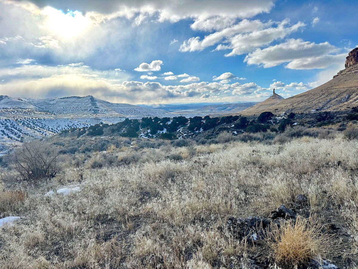Inside Wyoming’s fight against cheatgrass, the ‘most existential, sweeping threat’ to western ecosystems
