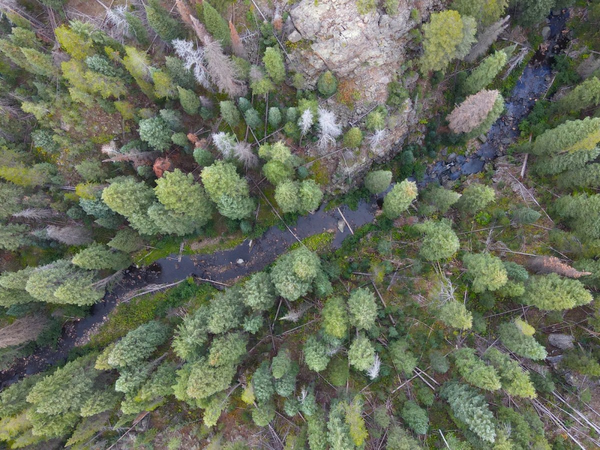 Dam estimate almost doubles to $150M as pols challenge runaway water projects