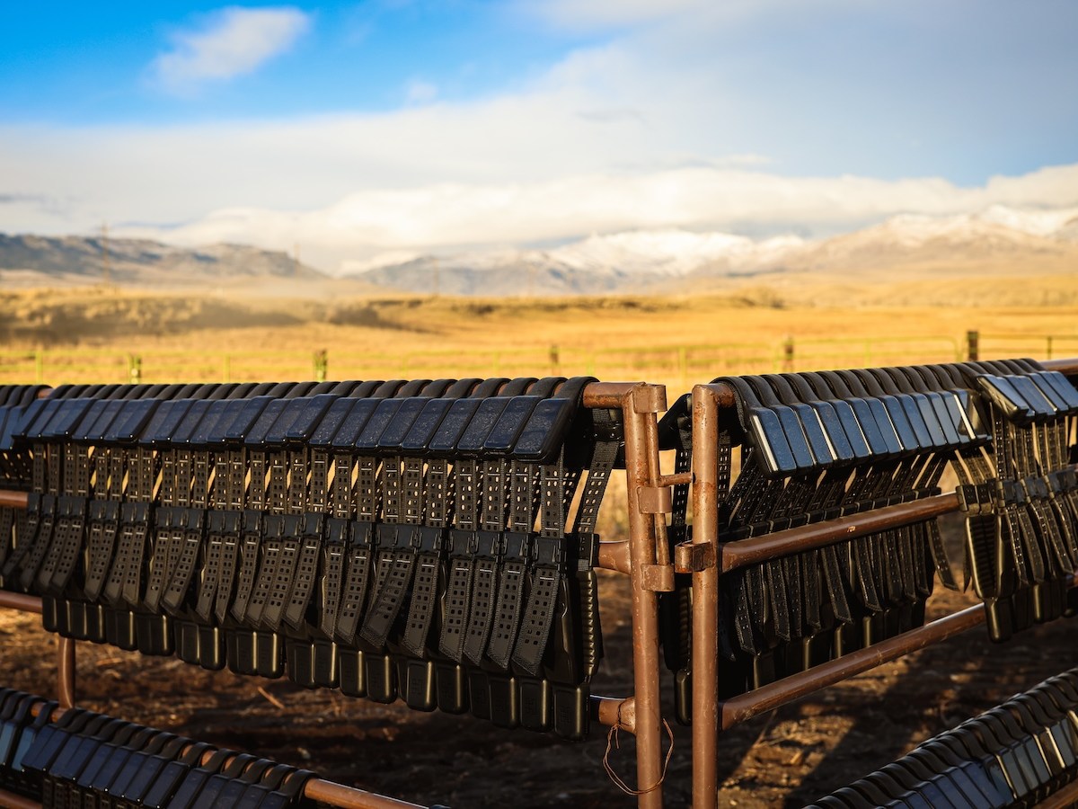 Virtual fences keep cows in and barbed wire out on Wyoming ranches