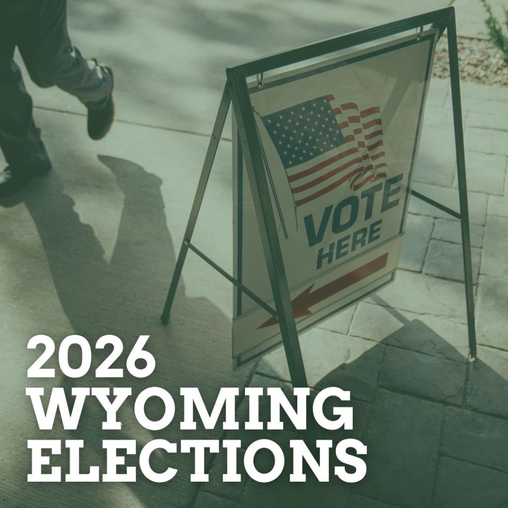 Elections 2026