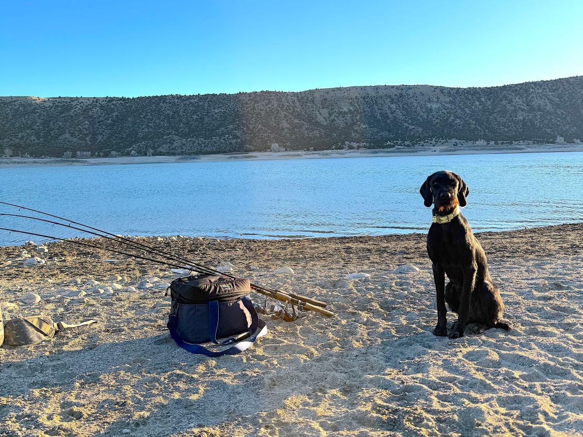 A tale of two Wyoming winters