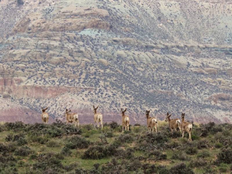 Wyoming Game and Fish seeks $400,000 in property tax relief