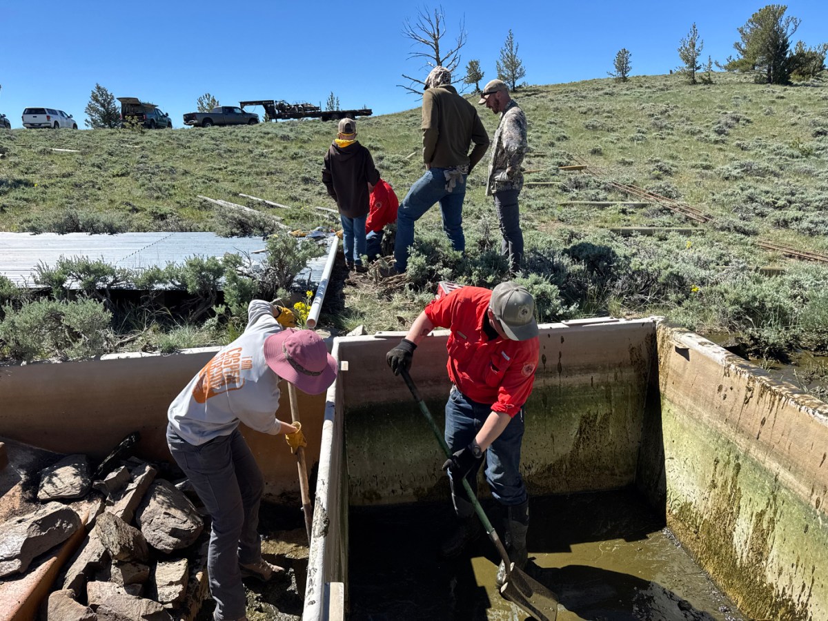 Water guzzlers may provide critical relief for wildlife during drought