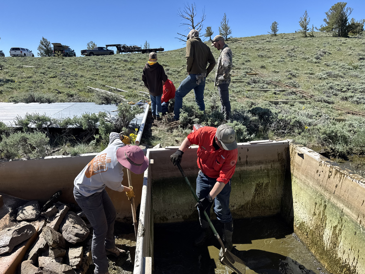 Water guzzlers may provide critical relief for wildlife during drought