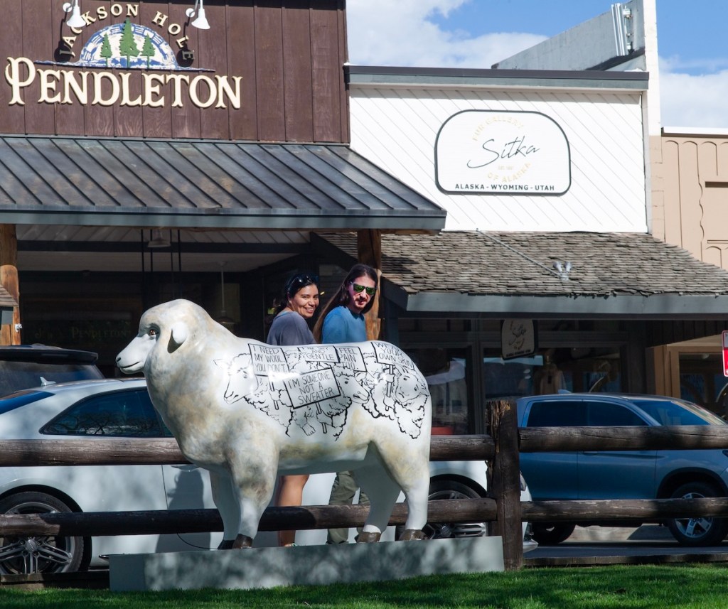 PETA anti-wool statue in Jackson a potential suit in sheep’s clothing