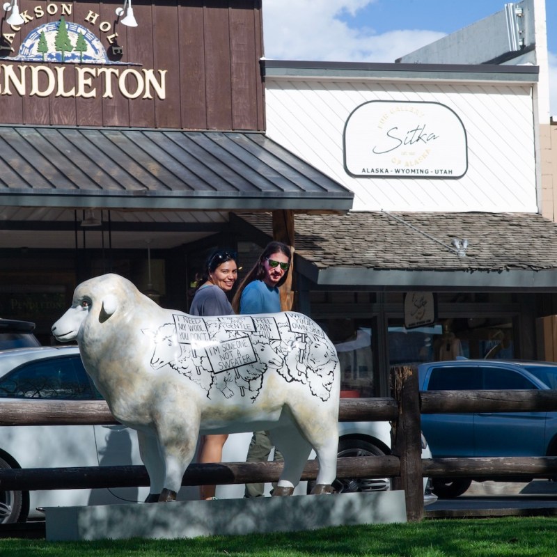 PETA anti-wool statue in Jackson a potential suit in sheep’s clothing