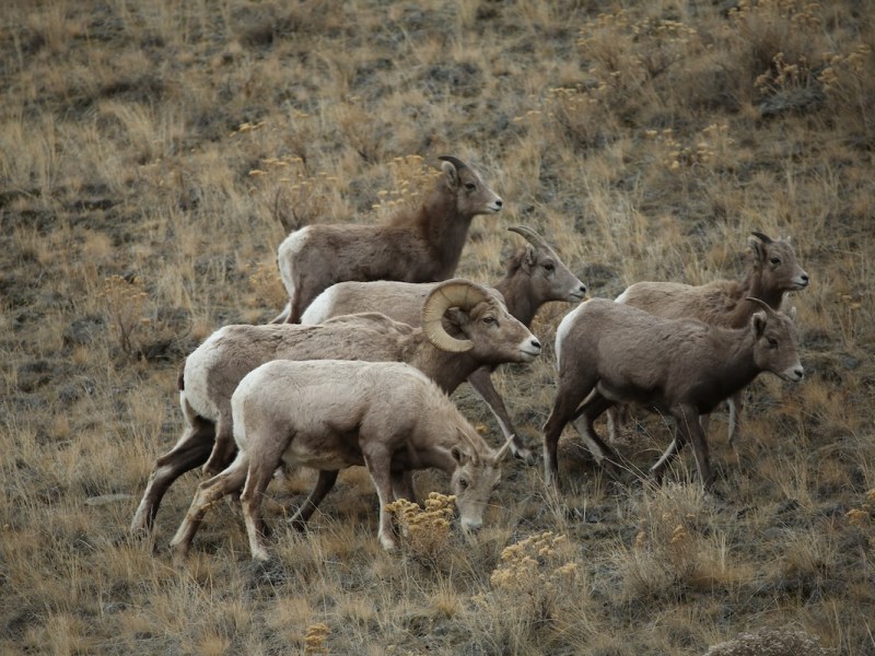 Some places in Wyoming are too important to gamble with