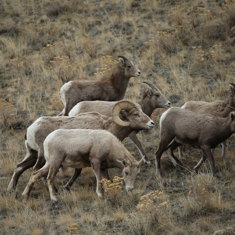 Some places in Wyoming are too important to gamble with