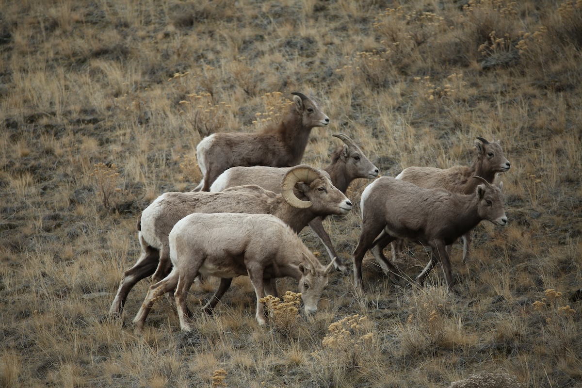 Some places in Wyoming are too important to gamble with