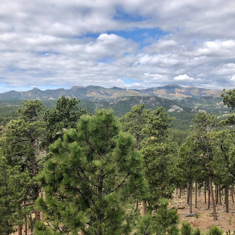 Public lands travelogue 2026: Black Hills