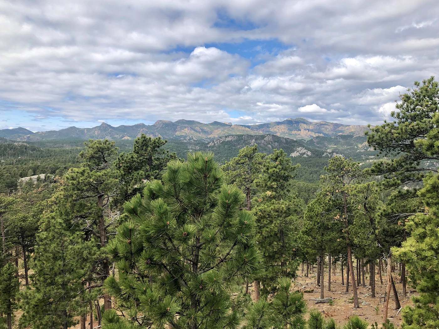 Public lands travelogue 2026: Black Hills
